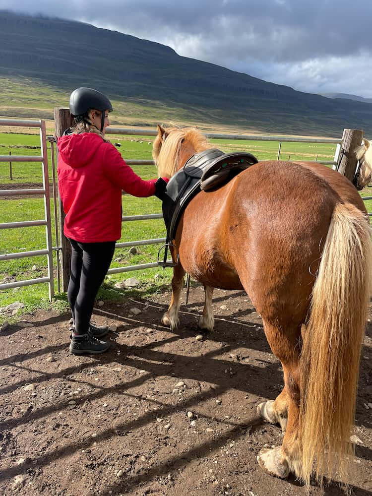 Tour a cavallo in Islanda