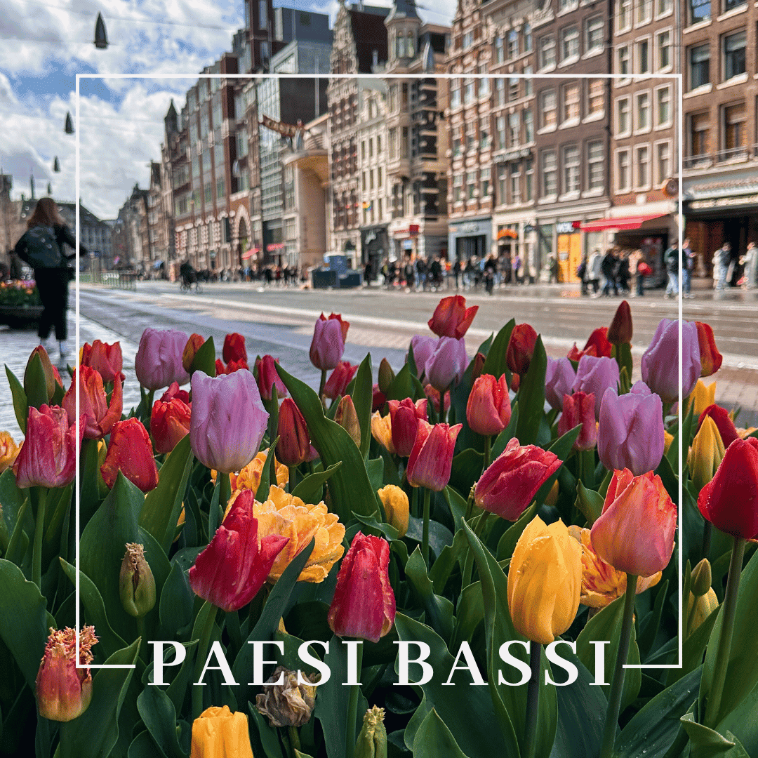 Paesi Bassi