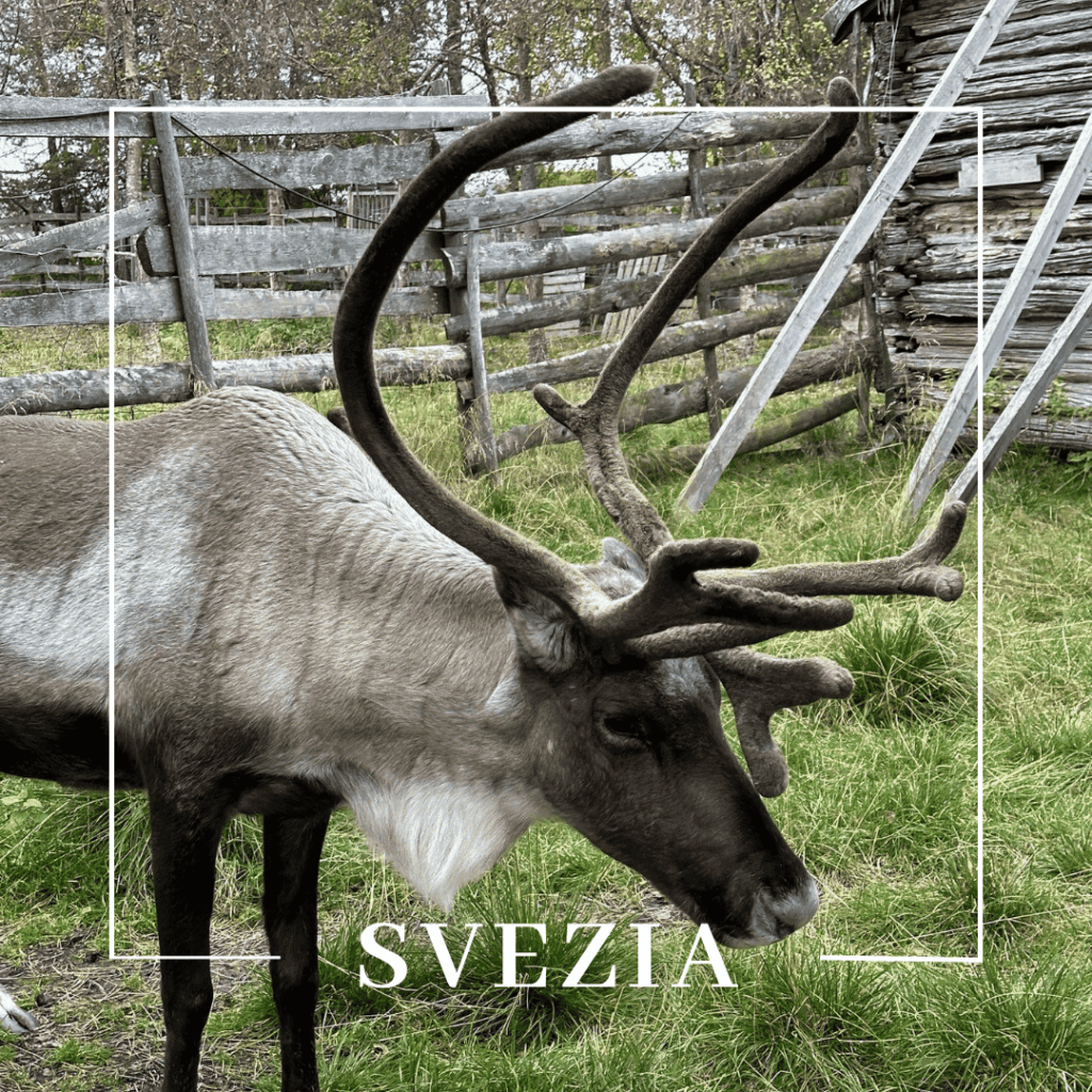 Svezia