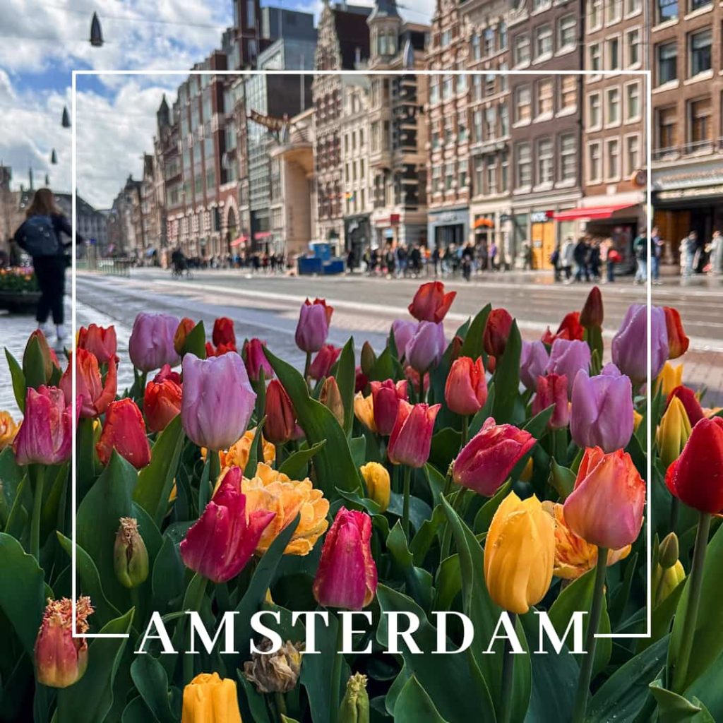 viaggio ad amsterdam