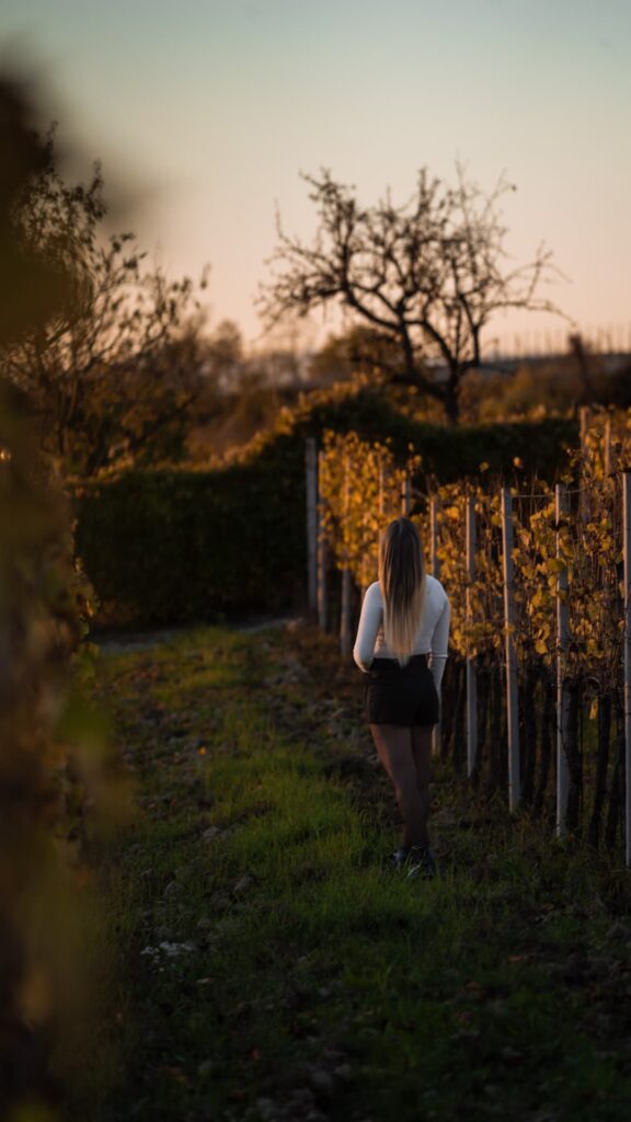 2 giorni nelle langhe