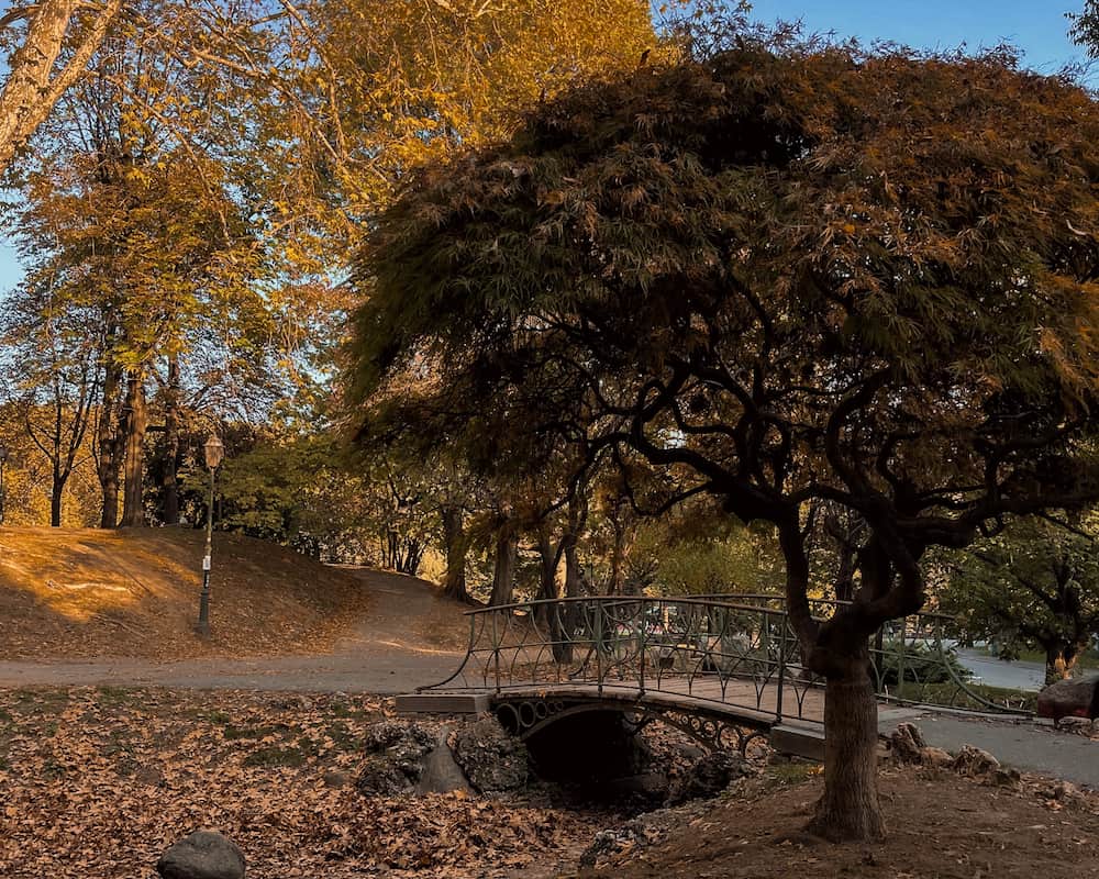 itinerario di torino in 1 giorno