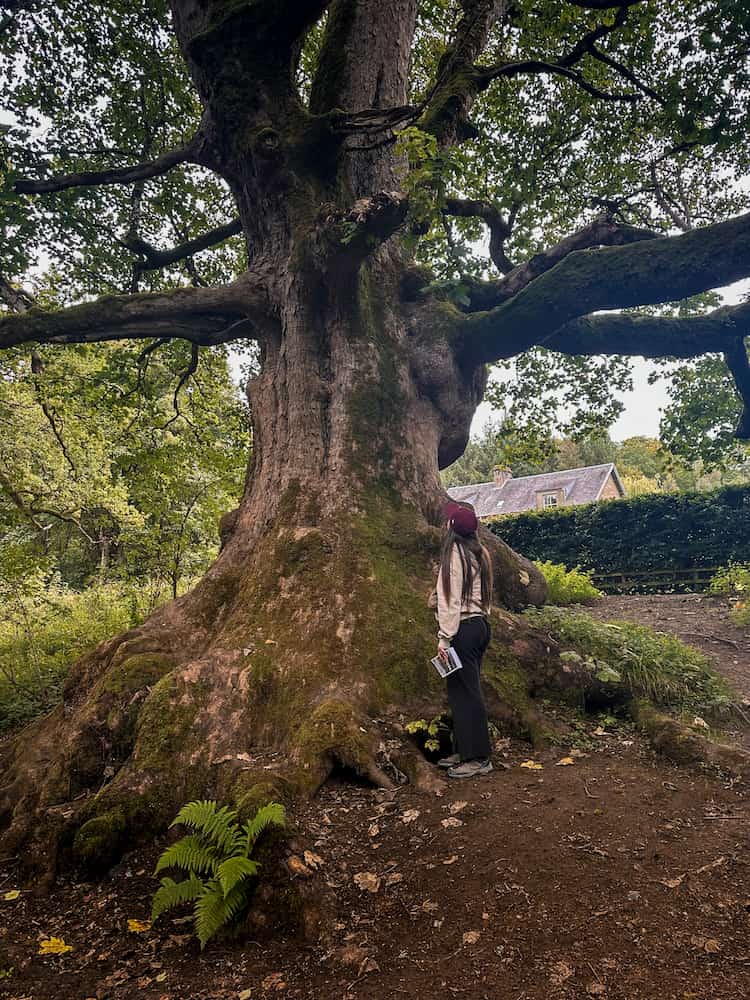 Luoghi particolare da visitare in Scozia