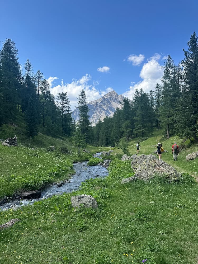 cosa fare in estate in piemonte