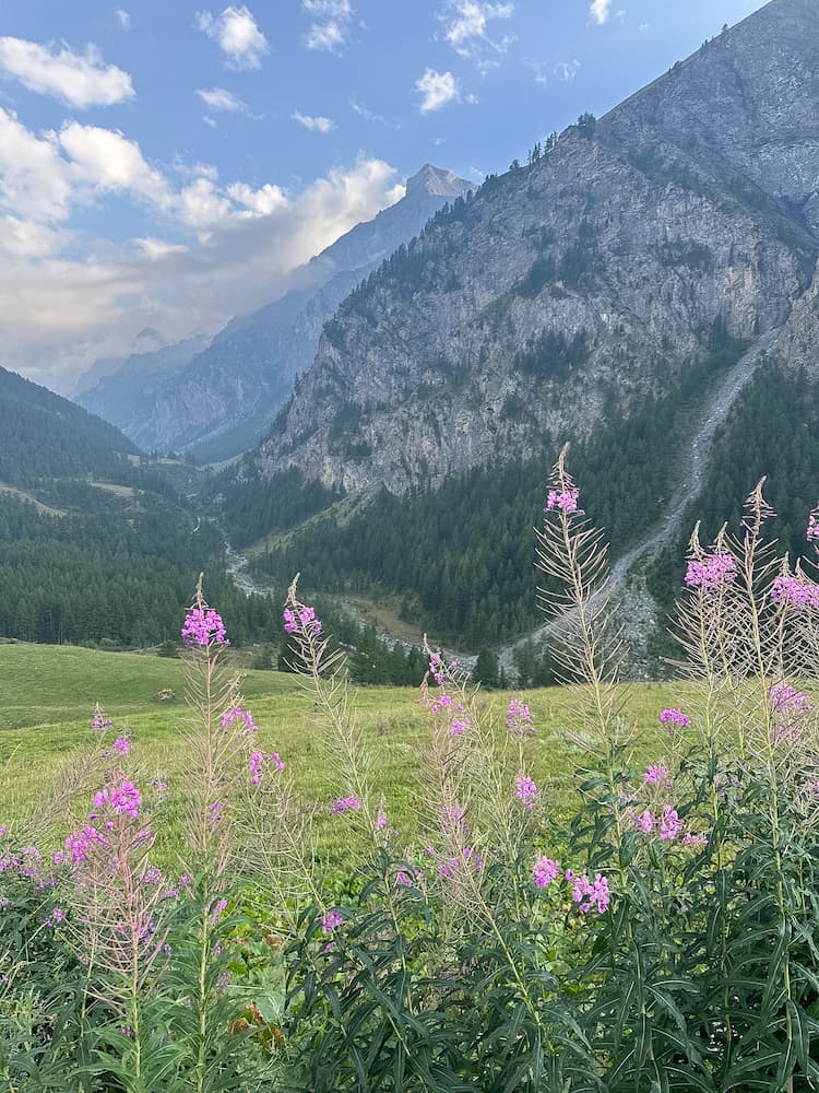 val troncea