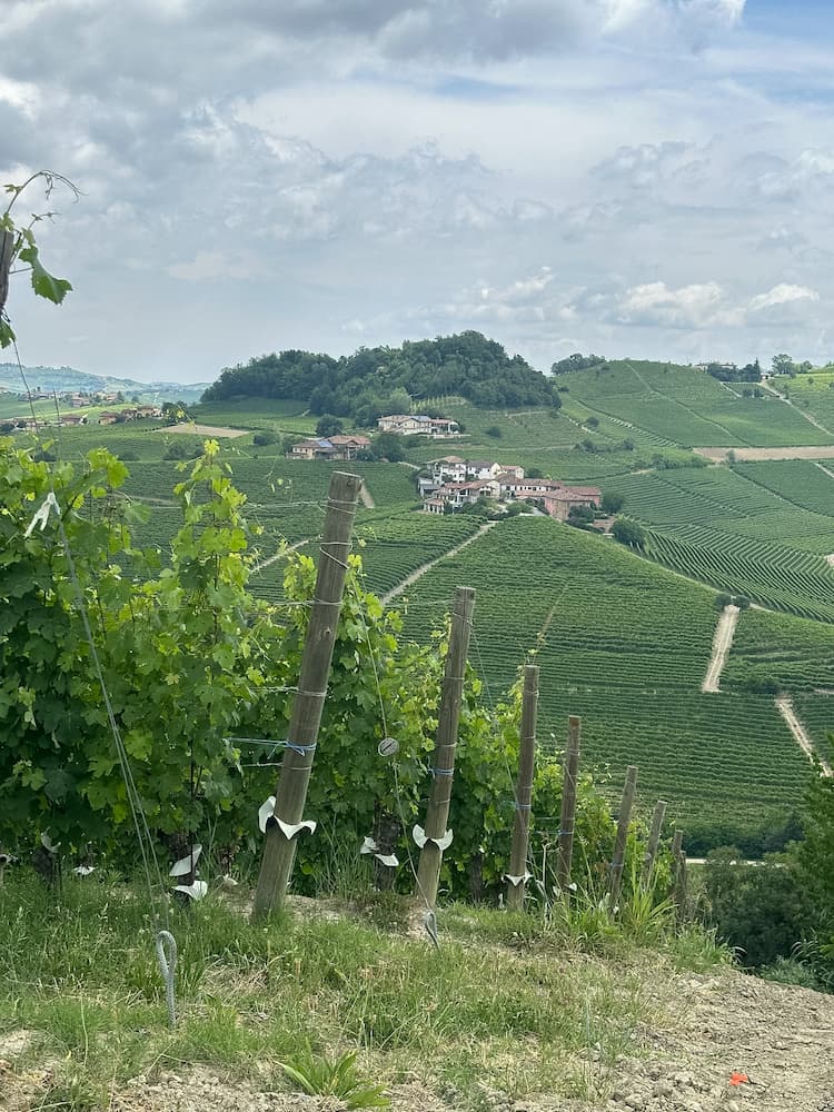 Gita in giornata nelle Langhe
