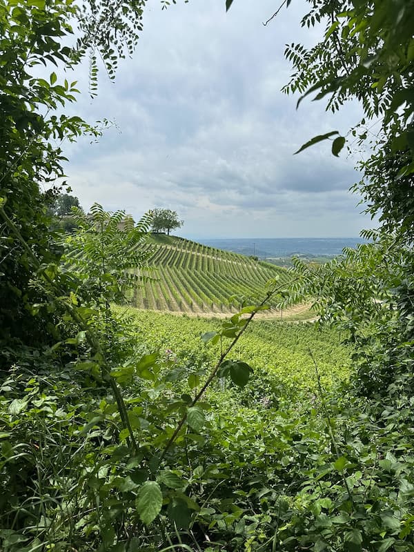 Panorami del trekking nelle langhe