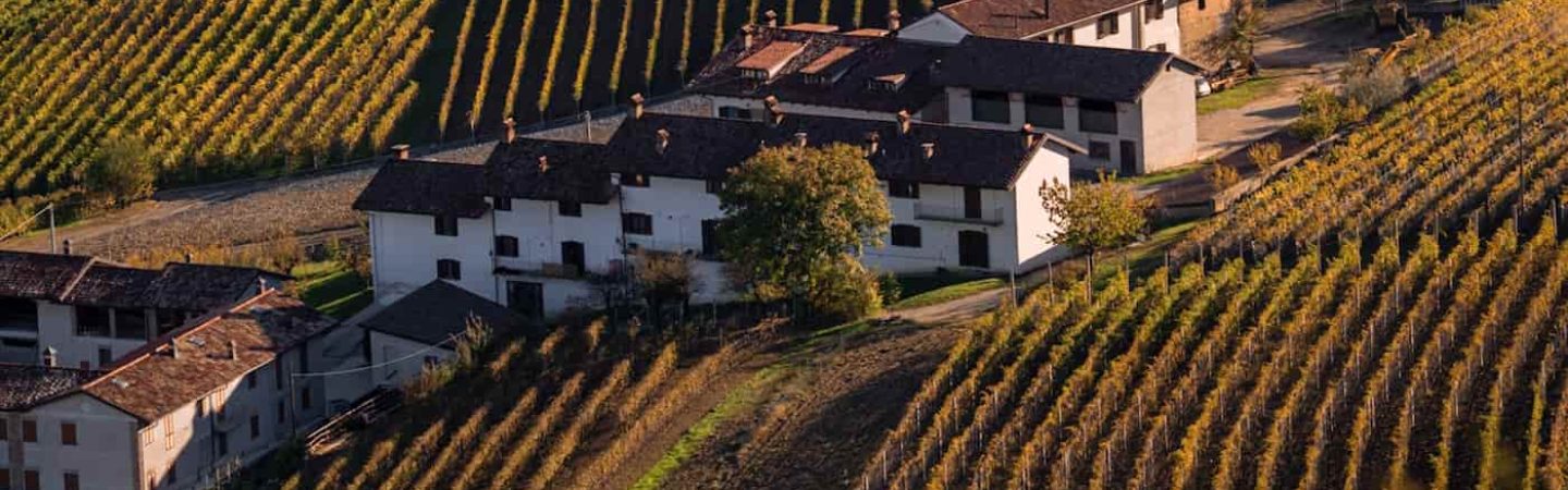 attivita-da-svolgere-nelle-langhe